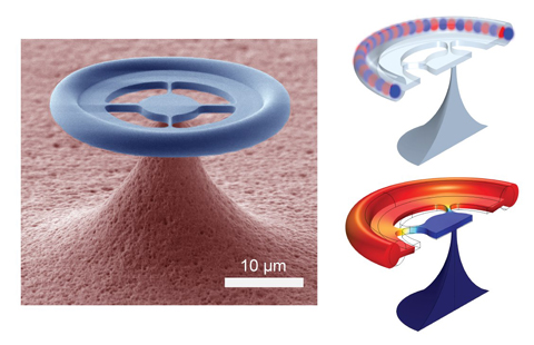 Bild Quantenphysik